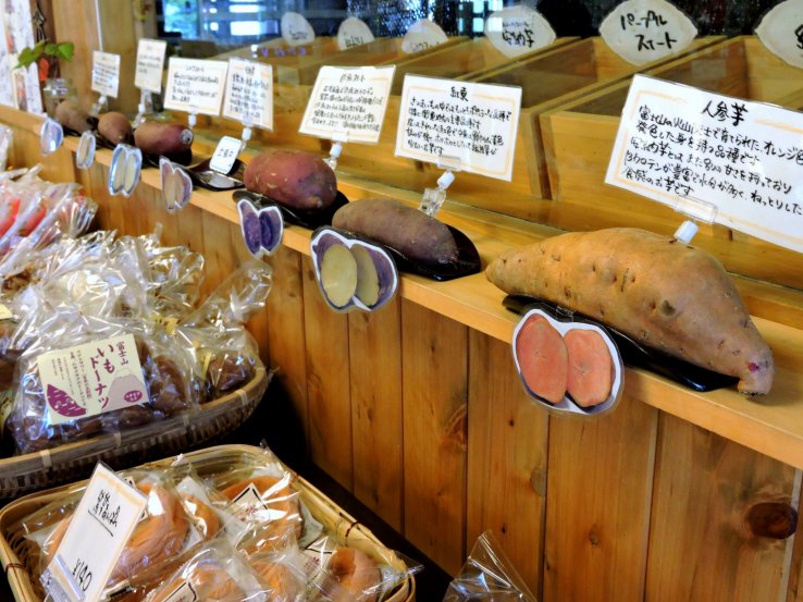 <p>Different kinds of sweet potatoes</p>