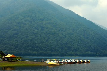 <p>Paddle boats for hire</p>