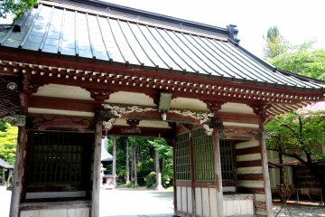 <p>Looking through a gate</p>