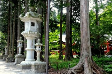 <p>Stone lanterns among the trees</p>
