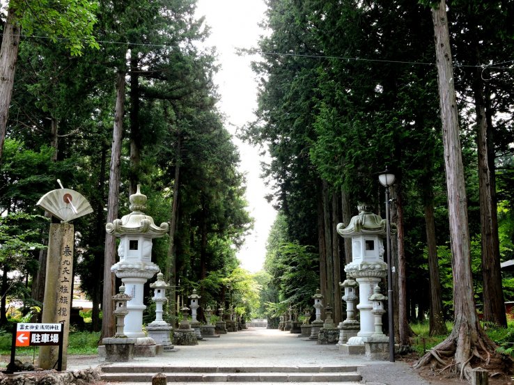 <p>Path flanked by lanterns and tall trees</p>