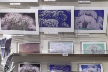 <p>Cherry-blossoms galore - cards and prints in the gift shop</p>