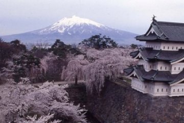 Hirosaki Park in spring.
