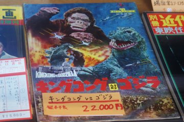 <p>Un vieil exemplaire de King Kong et Godzilla</p>