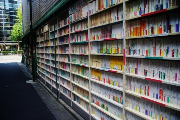 <p>Des livres &agrave; perte de vue</p>