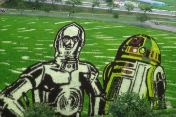<p>Penampilan dari C3PO dan R2D2&nbsp;</p>