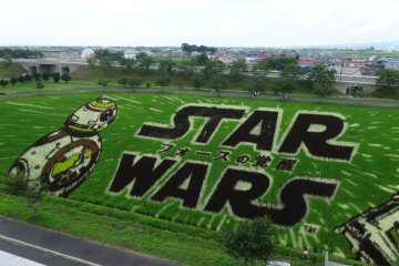 <p>Salah satu droid dari film terbaru juga ikut ditampilkan</p>
