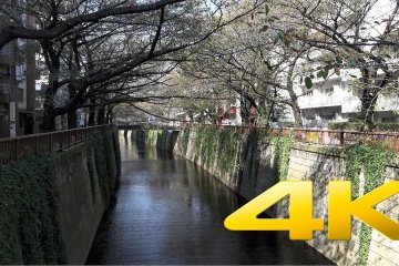 Nakameguro
