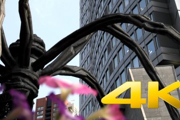 Roppongi Hills in Video