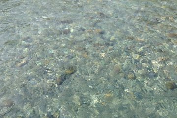 <p>Gin-clear streams of water run through the creek</p>