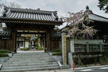 <p>The entrance gate of the 13th temple</p>