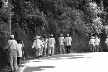 <p>Pilgrims</p>