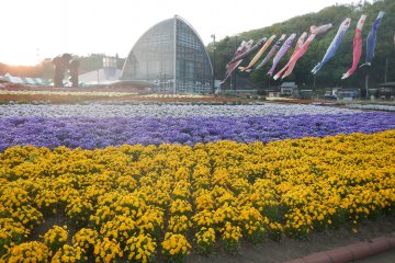 <p>Interesting architecture and garden in Michi no Eki</p>