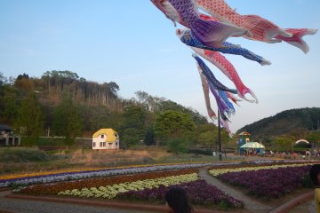 <p>Colorful carp streamers in May</p>