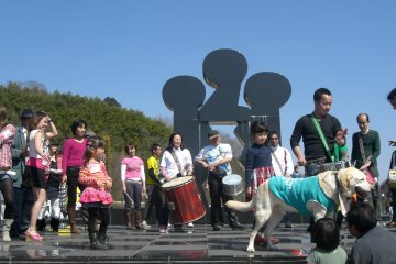 <p>A Brazilian music event at Michi no Eki Plaza. Everybody's having fun</p>