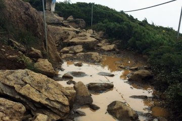 <p>The hike is rocky on the way up and the way down, but gets less rocky toward the bottom half.</p>