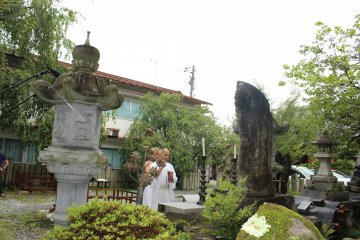 <p>Another angle</p>