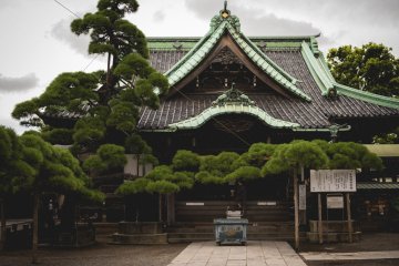<p>The temples main building with the famous 'Zui-ryu-no-matsu' tree</p>