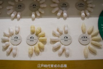 <p>Dokumentasi dummy kepompong ulat sutera di zaman Edo</p>