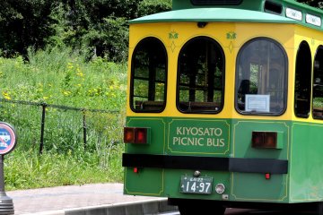 The picnic bus