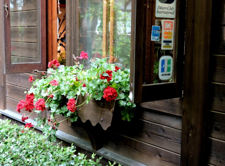 <p>A window box with red geraniums</p>
