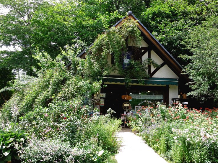 <p>The garden is swallowing this store!</p>