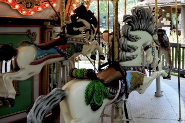 <p>The Merry-go-round in the Forest</p>
