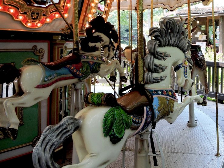 <p>The Merry-go-round in the Forest</p>