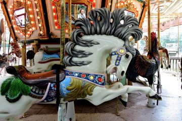 Carousel in the Forest