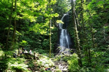 <p>The forest scenery is punctuated by several waterfalls</p>