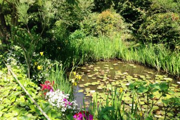 Claude Monet's water lilies is the inspiration behind this garden, one that connects that art inside and outside.