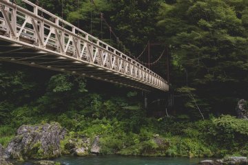 <p>Almost feels like the pacific northwest&nbsp;</p>