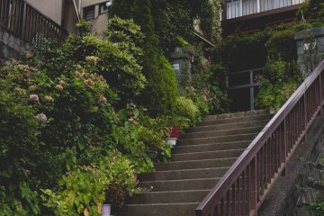 <p>Lots of beautiful houses with a pretty good view</p>