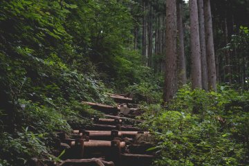 <p>With some pretty sketchy paths</p>