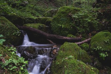 <p>Stream leading to the waterfall</p>