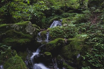 <p>Stream leading to nanayo waterfall</p>