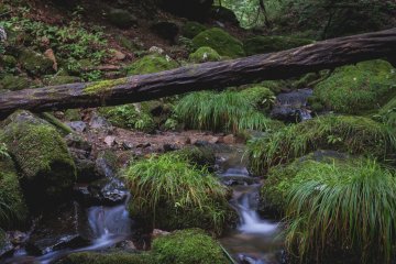 <p>Stream leading to nanayo fall</p>