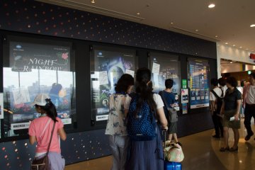<p>Show yang bisa dinikmati. Meskipun judulnya berbahasa Jepang, beberapa show memiliki panduan audio dalam bahasa Inggris.</p>