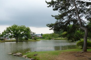 <p>Landscape near Hiraizumi</p>