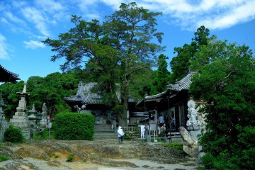Pilgrimage Temples #14,15,16 and 17