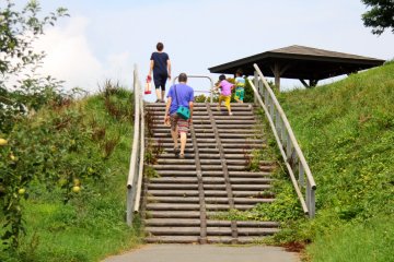 <p>Some visitors enjoy travel around the park</p>