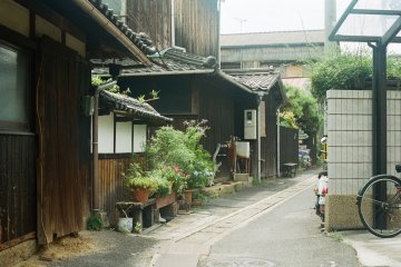 <p>나오시마 골목</p>