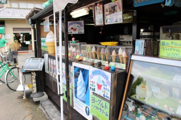 <p>Log House's ice cream counter</p>