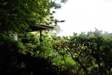 <p>Une ambiance un peu myst&eacute;rieuse se d&eacute;gage des lieux &nbsp;</p>
