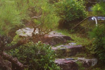 <p>Le jardin est sur les flancs de la colline</p>