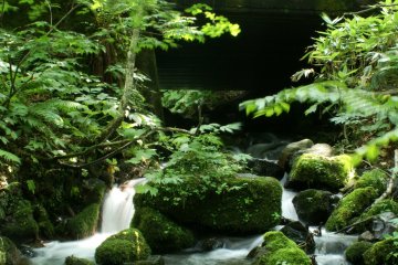 Air terjun kecil dekat jalan