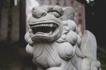 <p>Guardian</p>