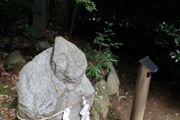 <p>A different angle</p>