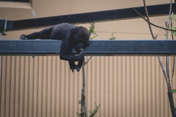 <p>Youngest hanging around</p>
