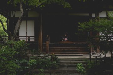 <p>Making the most of the temple's peace</p>